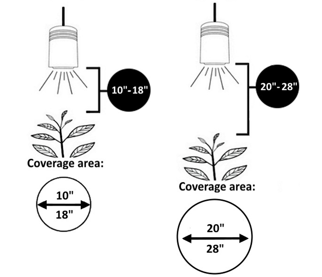 Guide to lighting distance for succulents.