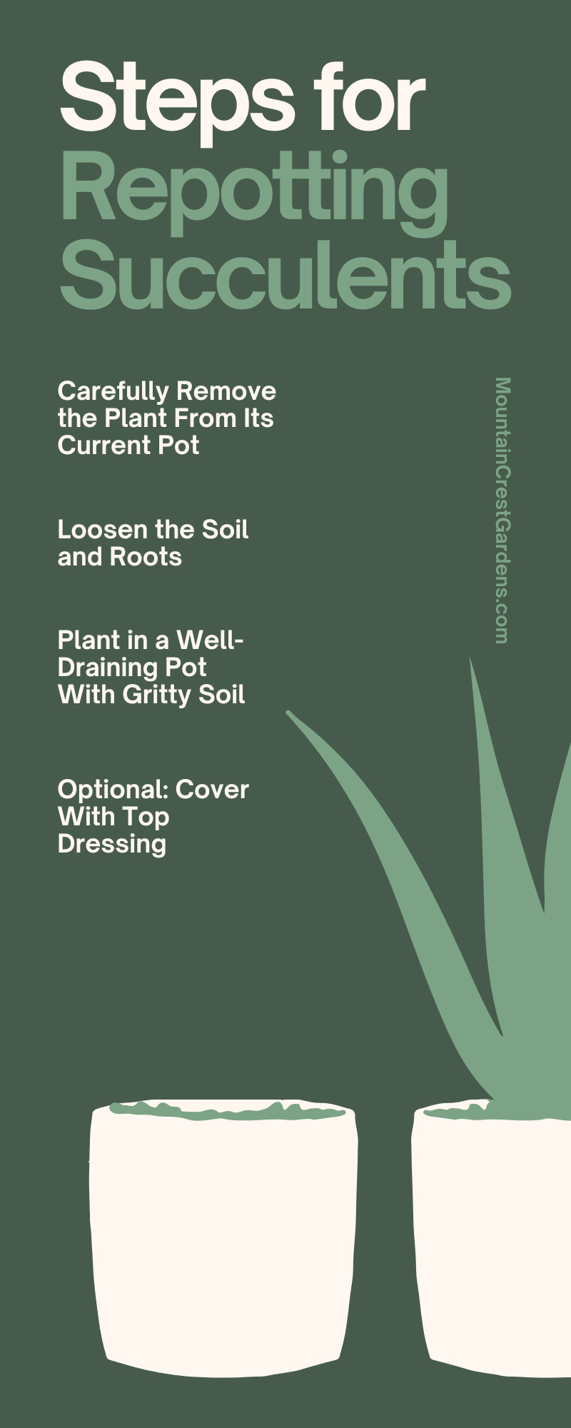 Carefully remove the plant from its current pot. Loosen the soil and roots. Plant in a well-draining pot with gritty soil. Optional: cover with a top dressing.