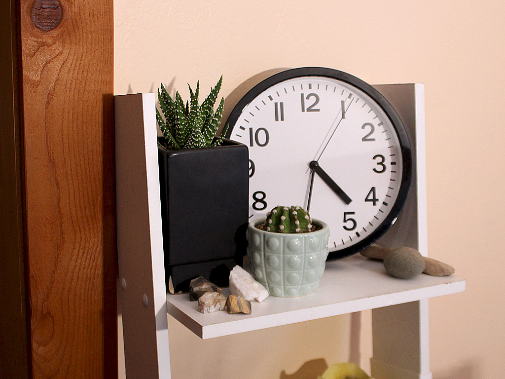 Indoor Succulents on a bookshelf.