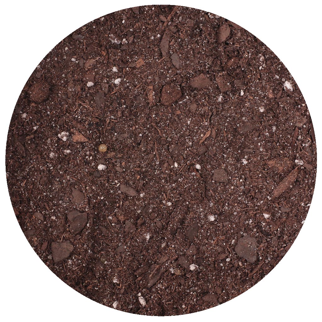 A soil mix for cactus and palms