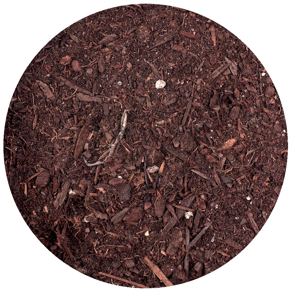 Close-up of potting soil