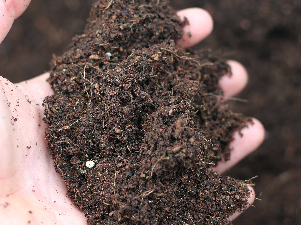 A hand holding soil