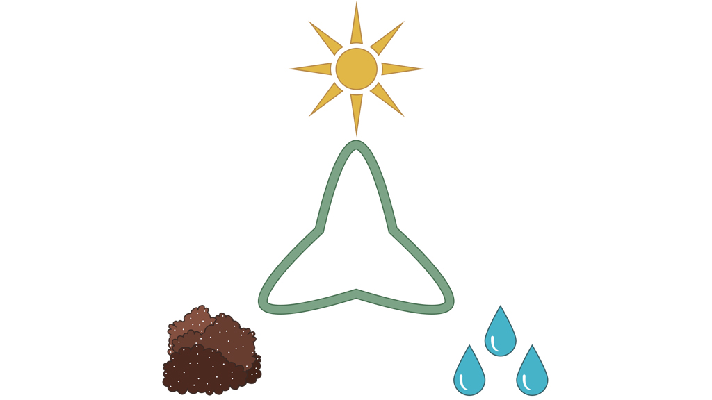 An illustration showing the cycle of sun, soil, and water.